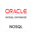 Oracle NoSQL
