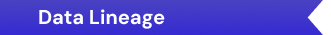 Data Lineage